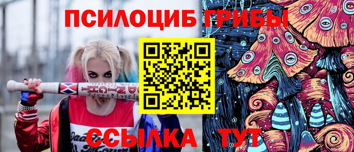 Казань  Псилоцибиновые грибы MAGIC MUSHROOMS  что такое   Вход с VPN 